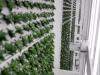 Opollo Vertical Robotic Farm