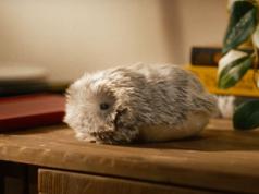 Casio Moflin AI Powered Companion Robot