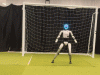This Humanoid Goalkeeper Can Save Penalty Kicks, Dodge Balls